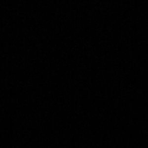 Meet your Posher, Tenzin